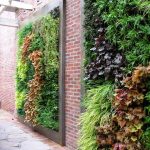 19 Effective Vertical Garden Ideas